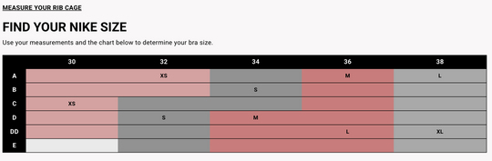 Women's Nike Indy High Support Padded Adjustable Sports Bra