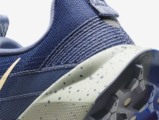 Women's Nike Wildhorse 10 - Trail Running Shoe