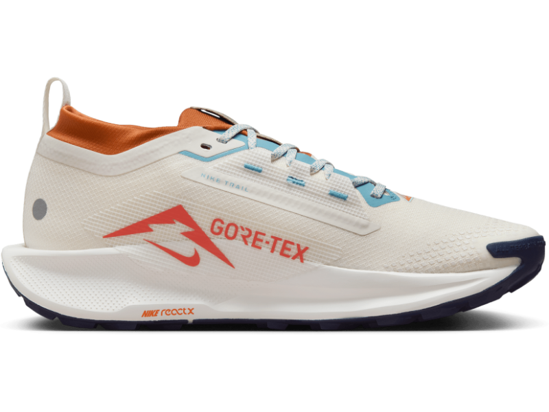 Men's Nike Pegasus Trail 5 GORE-TEX -Trail Runner
