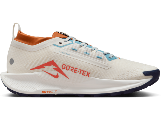 Men's Nike Pegasus Trail 5 GORE-TEX -Trail Runner | Nike | Running Shoe