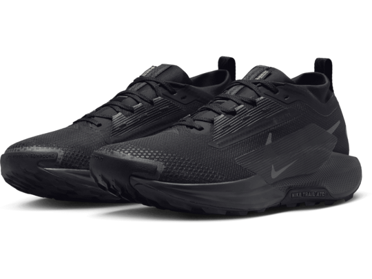 Men's Nike Pegasus Trail 5 GORE-TEX -Trail Runner