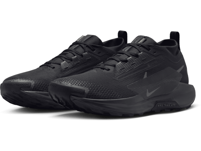 Men's Nike Pegasus Trail 5 GORE-TEX -Trail Runner