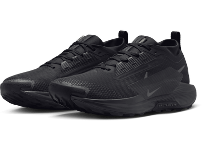 Men's Nike Pegasus Trail 5 GORE-TEX -Trail Runner