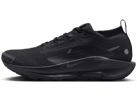 Men's Nike Pegasus Trail 5 GORE-TEX -Trail Runner