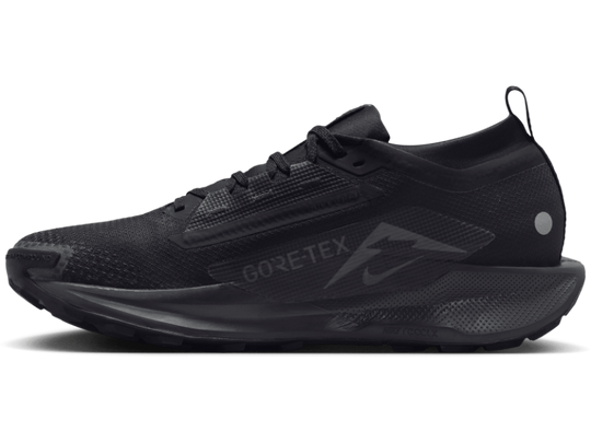 NIKE★(w) Pegasus Trail 5 GORE-TEX★22-26cm★人気早期完売 Nike Pegasus Trail 5 Gore-Tex 'Jade Horizon' FQ0908-300