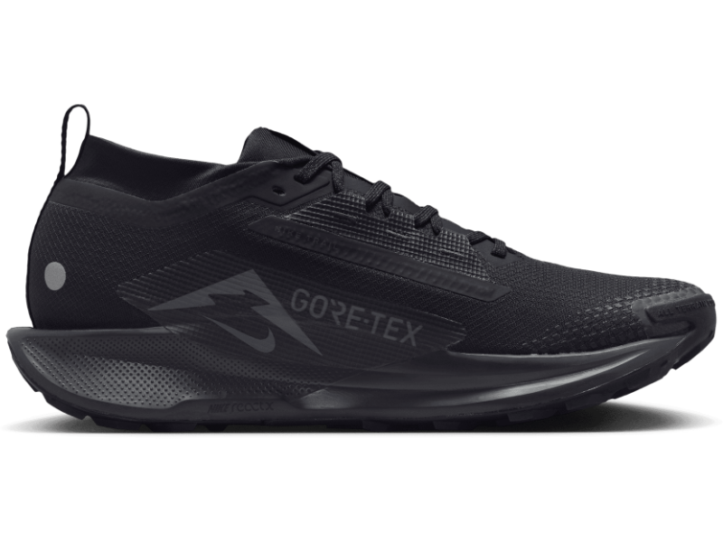 Men's Nike Pegasus Trail 5 GORE-TEX - Trail Runner – 7000 Feet