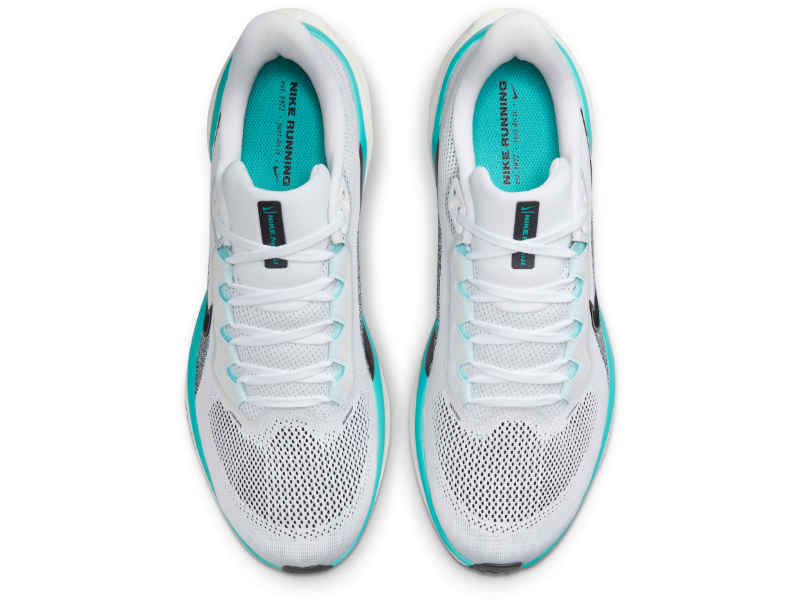nike pegasus 270