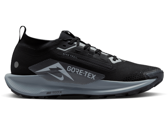 Men's Nike Pegasus Trail 5 GORE-TEX -Trail Runner