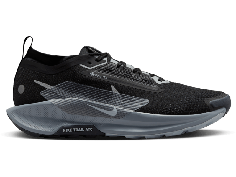 Men's Nike Pegasus Trail 5 GORE-TEX -Trail Runner