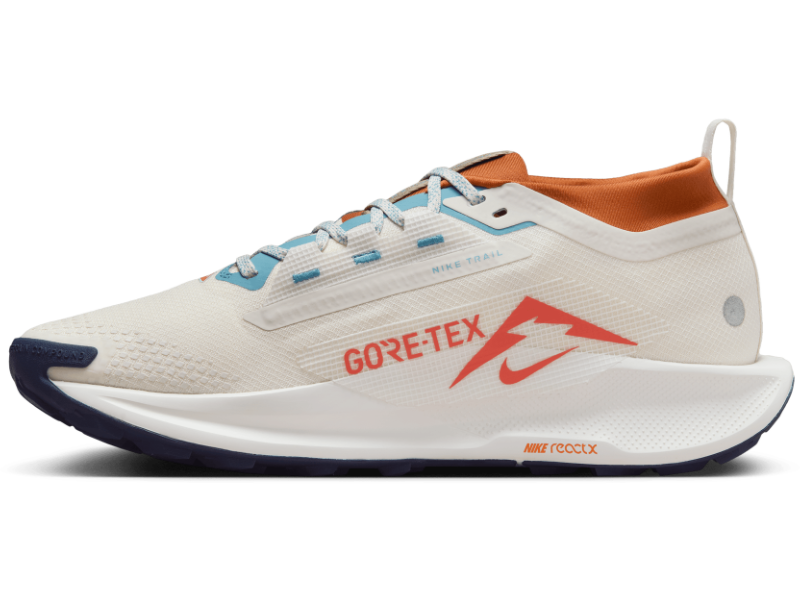 Men's Nike Pegasus Trail 5 GORE-TEX -Trail Runner | Nike | Running Shoe