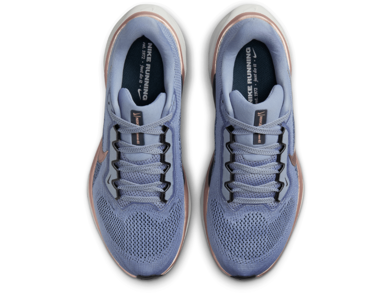 Women's Nike Pegasus 41 - Everyday Trainer