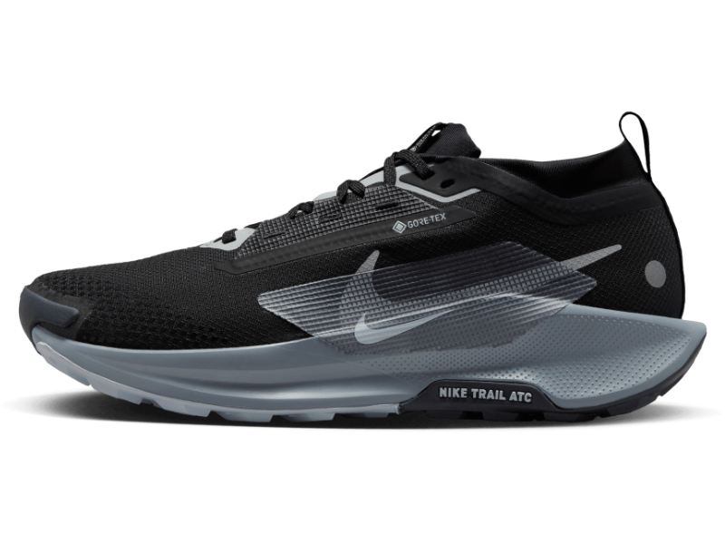 Men's Nike Pegasus Trail 5 GORE-TEX -Trail Runner