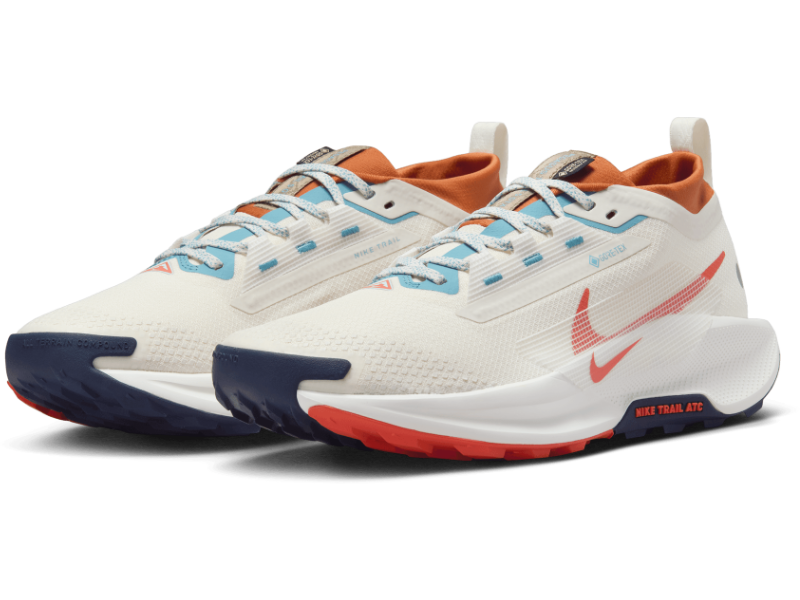 Men's Nike Pegasus Trail 5 GORE-TEX -Trail Runner | Nike | Running Shoe