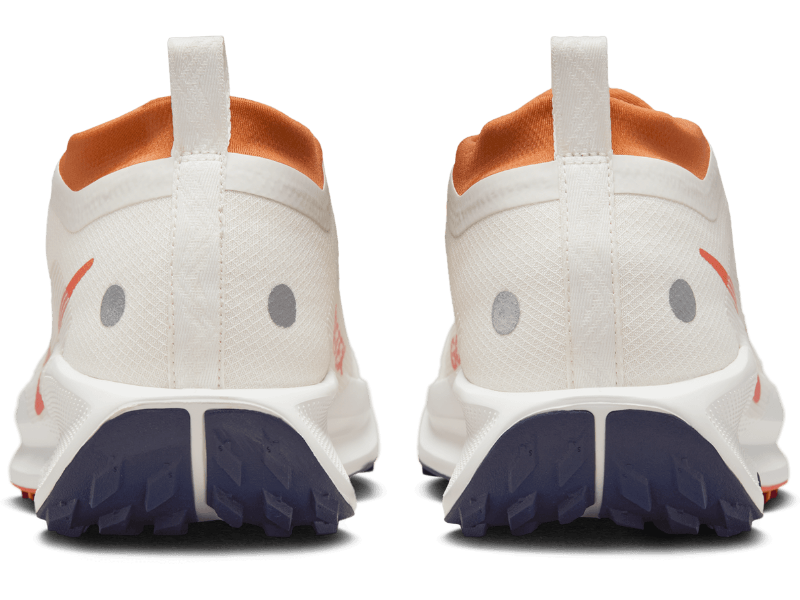 Men's Nike Pegasus Trail 5 GORE-TEX -Trail Runner | Nike | Running Shoe