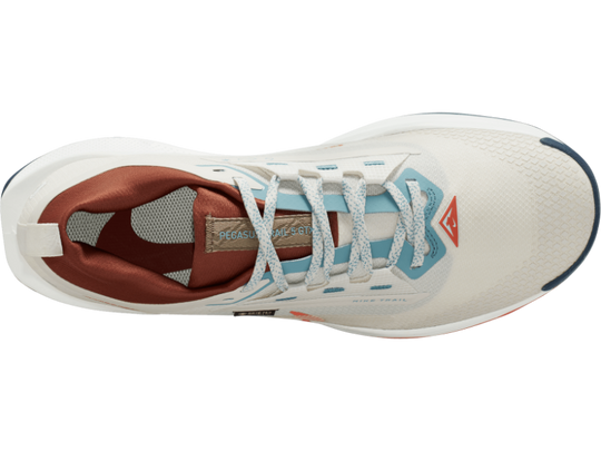 Men's Nike Pegasus Trail 5 GORE-TEX -Trail Runner | Nike | Running Shoe