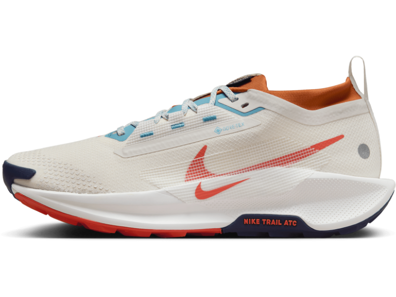 Men's Nike Pegasus Trail 5 GORE-TEX -Trail Runner | Nike | Running Shoe