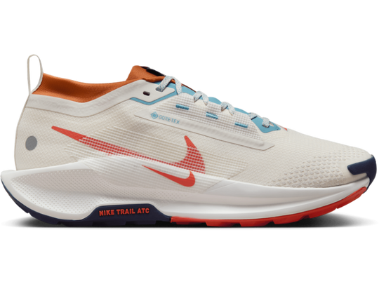 Men's Nike Pegasus Trail 5 GORE-TEX -Trail Runner