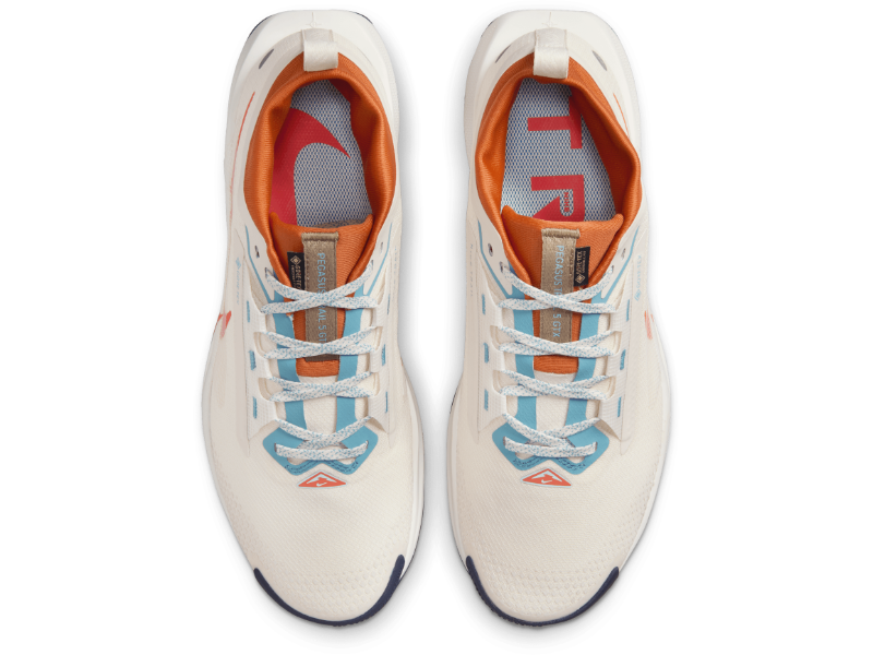 Men's Nike Pegasus Trail 5 GORE-TEX -Trail Runner | Nike | Running Shoe