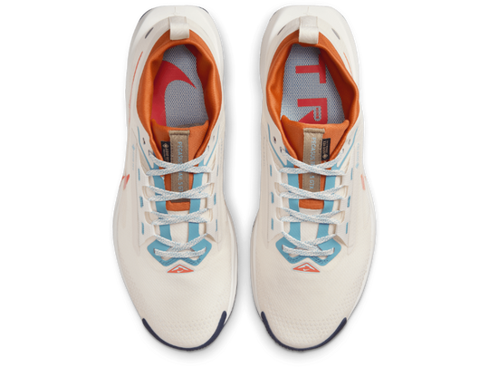 Men's Nike Pegasus Trail 5 GORE-TEX -Trail Runner | Nike | Running Shoe
