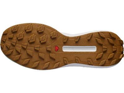Salomon S/Lab Genesis Mountain Running Shoe